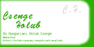 csenge holub business card